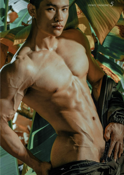 0394d01393645cf863c.png