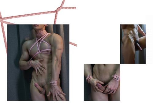 054e13da1c2ca6d29ab.png