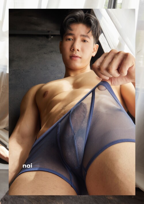 NAI-05-164.jpeg