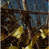 -16-60
