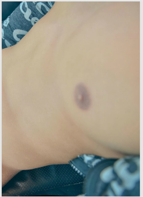 -29--2015162.png