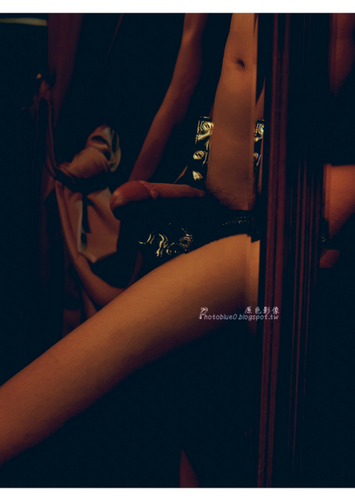 12691b3343eabc0ab03.png