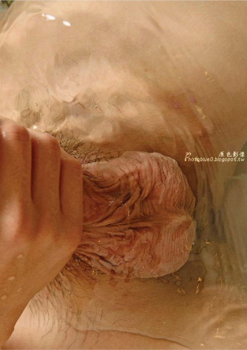 13043a03d83221694fb.png