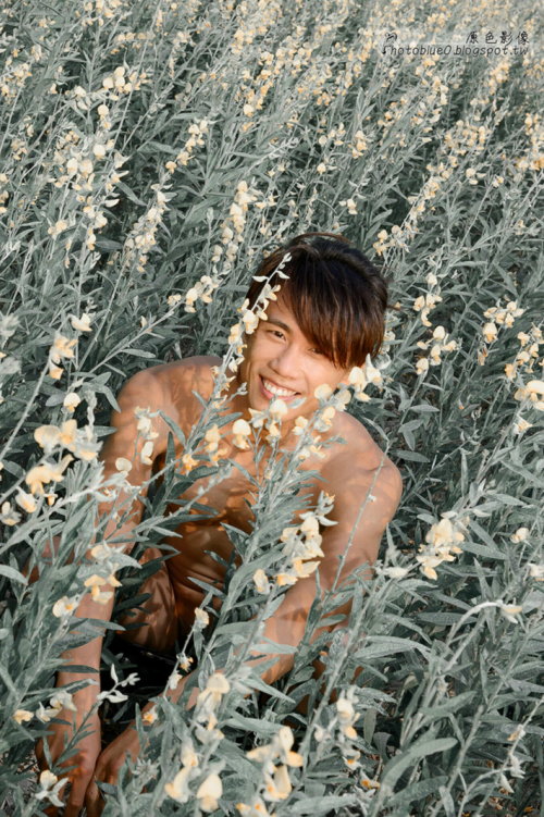 19d3a366af3384a923.png