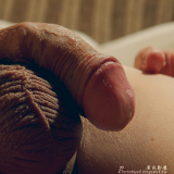 216682d6ed528a03bb5