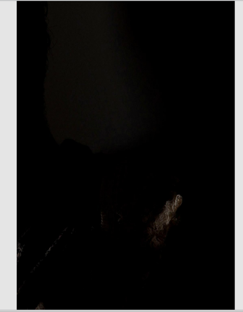 37-Box-Man-109019a22c57a882663.png