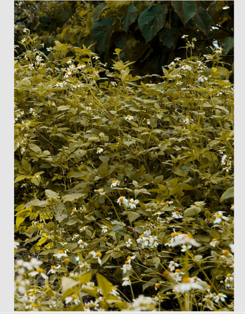 37-Box-Man-163162461bef53df1c8.png