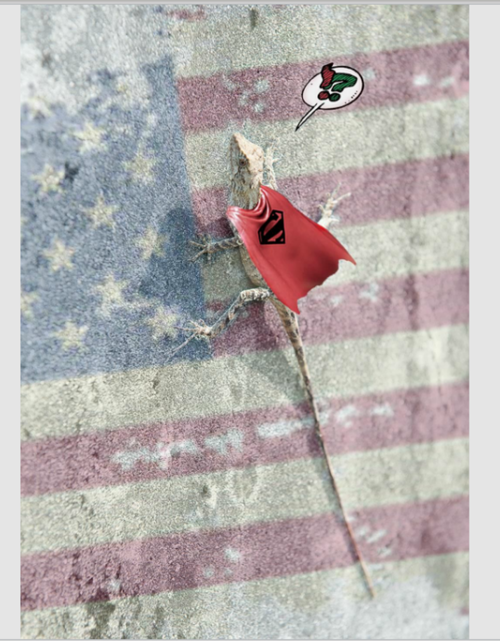 38--31.png