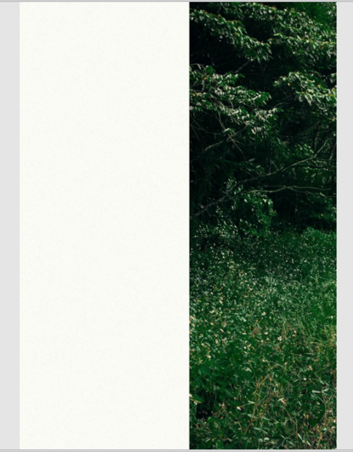 40--6.png