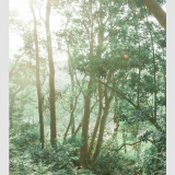 41---16