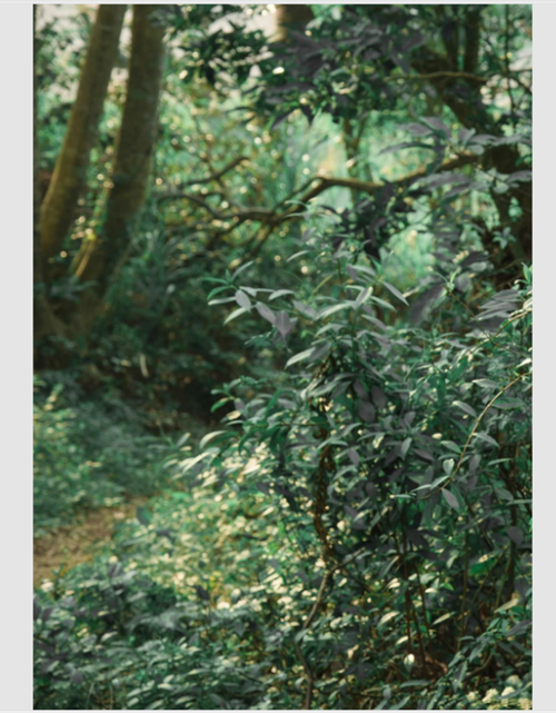 41---88.png