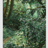 41---88