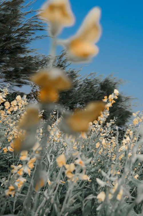 57c0a34fd53a0992bc.png