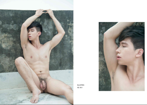 BLUEMEN-NO.16115.png