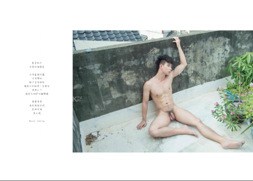 BLUEMEN-NO.16116.png