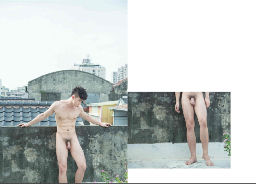 BLUEMEN-NO.16120.png