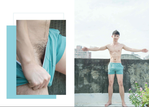 BLUEMEN-NO.16128.png