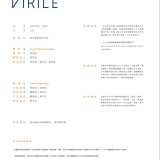 VIRILE41-110