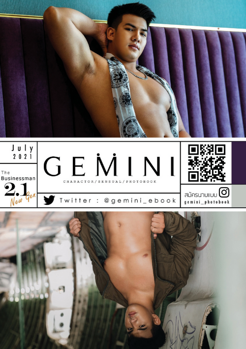Gemini2.1-182.png