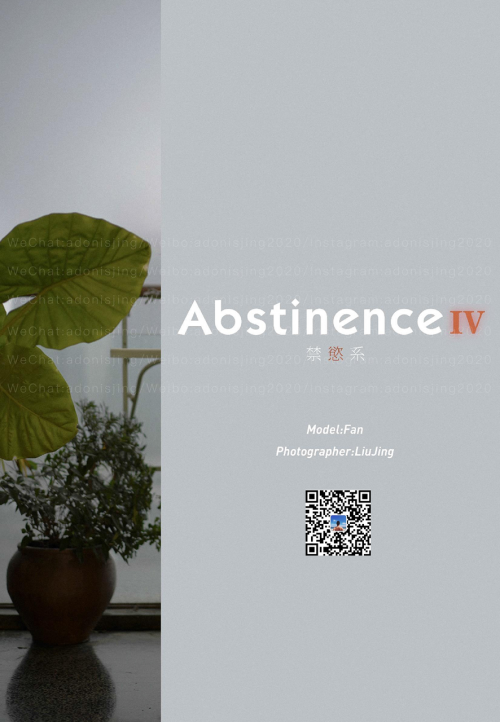 ABSTINENC-04-85.png