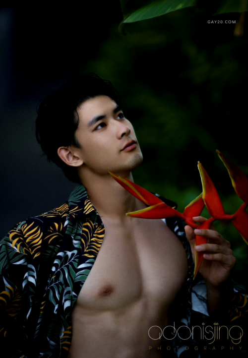DESIRE-TO-ANGEL-28.png
