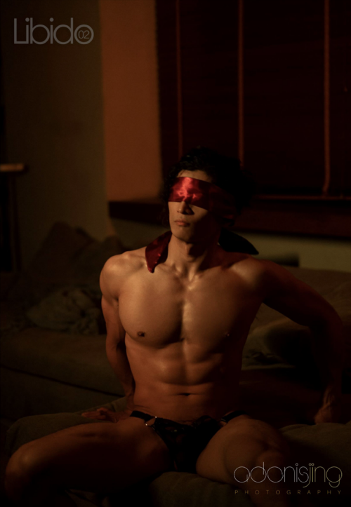 Libido-02-49.png