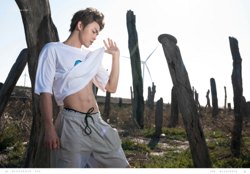 022a89f5a00e1cd4717.png