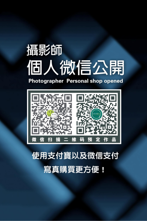 0032d0ff565a6eca2b8.png