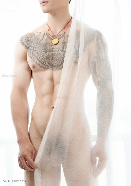 Bluephoto--No.253-60.png