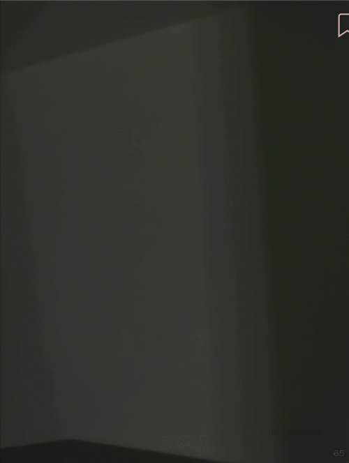 PRIVATE-13-65.png