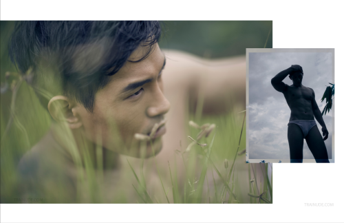 054d13ceb9a3773cd4f.png