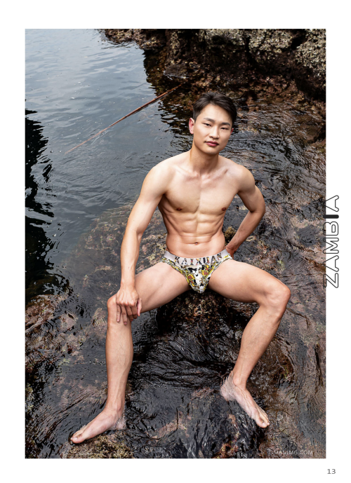 012fe9d5c9a72cc8106.png