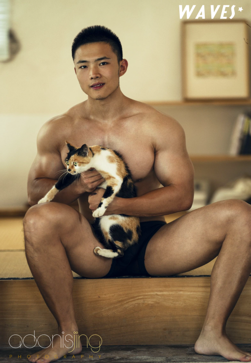 043eefb3e2f86fc680d.png