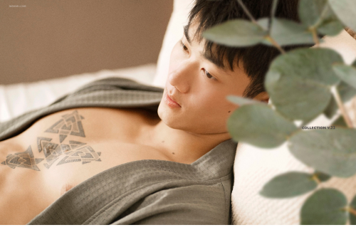 Collection-22-11.png
