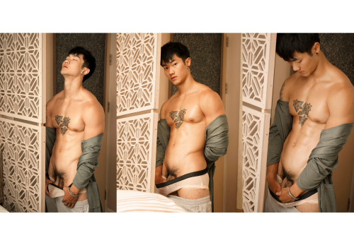 Collection-22-20.png