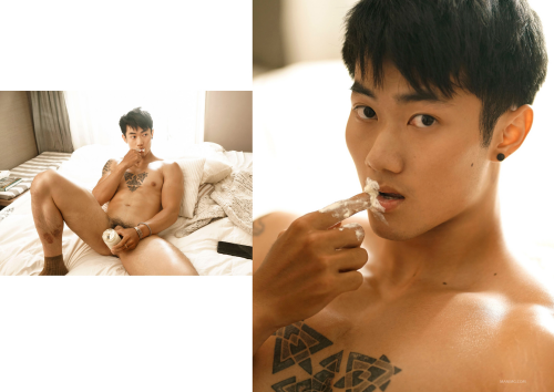 Collection-22-203.png