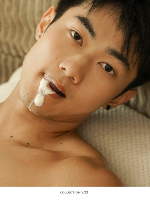 Collection-22-215.png