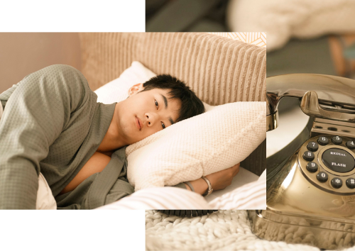 Collection-22-3.png