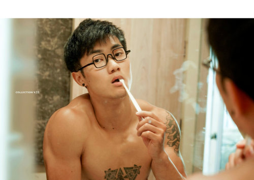 Collection-22-46.png