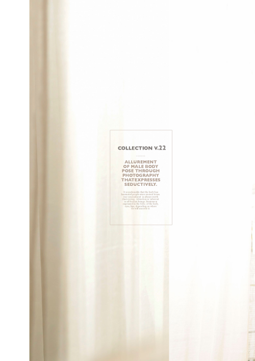 Collection-22-89.png