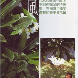 M1-02.020