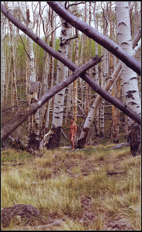 M1-09.086.jpeg