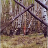 M1-09.086