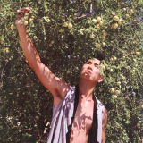 M1-32..009