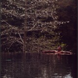 Scan10047