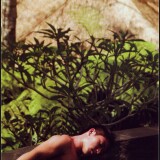 Scan10058