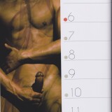 41