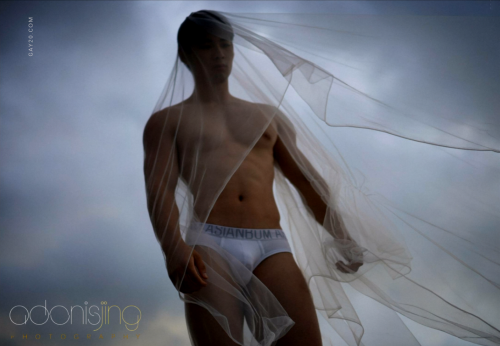 DESIRE-TO-ANGEL-068.png