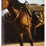 M1-Herojpg_Page3