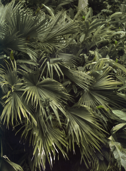 M1-Vol.38---050.png